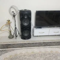 اسپیکر دوتا سالم ونو