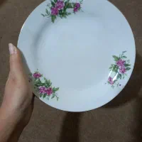 چینی گل قرمزی چین