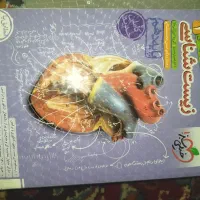کتاب درسی|کتاب و مجله آموزشی|اهواز, کوی طلاب|دیوار