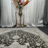 قو بزرگ ببر بزرگ کتری سماری