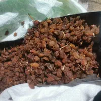 کشمش وَشیره انگور و خرمانایب