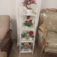 استند گل