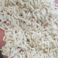 برنج دورود و برنج خوزستان