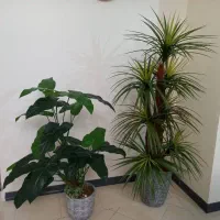 دو عدد درختچه مصنوعی