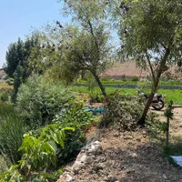 زمین باغی کنار دریاچه باباشیخعلی(شهر زاینده رود|فروش زمین و ملک کلنگی|فولادشهر, زاینده رود|دیوار