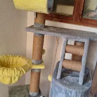 درخت گربه برند پتاژه|لوازم جانبی حیوانات|صومعهسرا, |دیوار