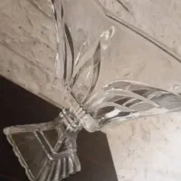 ظروف پذیرایی