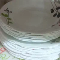 ظروف آرکوپال