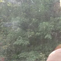 دستبند نقره|جواهرات|قم, نیروگاه|دیوار