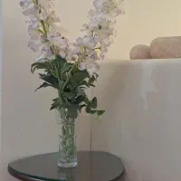 گل خوشگل با گلدان