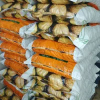 گردگان درصد بالا