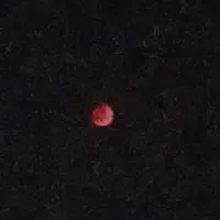 سیم کارت داعمی