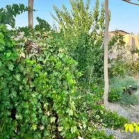 اجاره خانه باغ