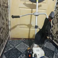 علف زن در حد|ابزارآلات|نهاوند, |دیوار