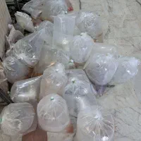 بار جدید ماهی رسید|ماهی|کرمان, |دیوار