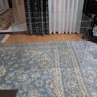 پارک سگ با سینی جیش با کیف