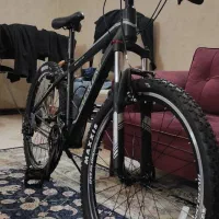 دوچرخه کوهستان حرفه ای درحد
