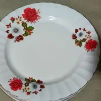یک دست چینی اصل