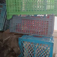 سبد های میوه|ظروف نگهدارنده، پلاستیکی، یکبارمصرف|وحیدیه, |دیوار