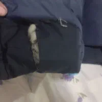 کاپشن|لباس|رودهن, |دیوار