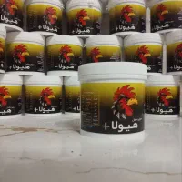 جوجه لاری - خروس لاری - مرغ لاری|حیوانات مزرعه|تهران, شهرک طالقانی|دیوار