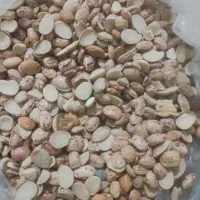 لوبیا لپه ولوبیا خارجی|خوردنی و آشامیدنی|شیراز, شاپورجان|دیوار