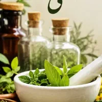 آموزش حجامت بادکش مزاج شناسی زالو درمانی