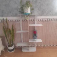 استند گل