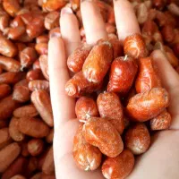 سنجد تازه امساله|خوردنی و آشامیدنی|تهران, ترمینال جنوب|دیوار