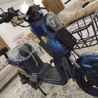 موتور برقی پدالی