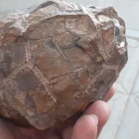 فروش سنگ سپتارین معروف به سنگ اژدها|جواهرات|مشهد, الهیه|دیوار