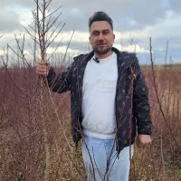 نهالستان گردو و بادام دیرگل و پربار پالیز