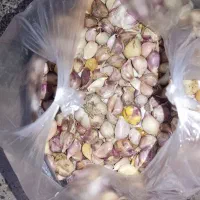 سیر ریز و دون دون شده کیلوی۵۰