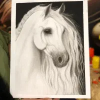 طراح اسب سفید سیاه قلم