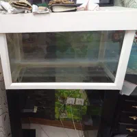 آکواریوم|ماهیگیری|پردیس, فاز ۲|دیوار