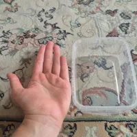 ظروف فریزری|ظروف نگهدارنده، پلاستیکی، یکبارمصرف|ری, حمزهآباد|دیوار