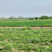 ۴۹۰متر زمین چسبیده به مینودر ورودی اول ((میانچال))|فروش زمین و ملک کلنگی|قزوین, |دیوار