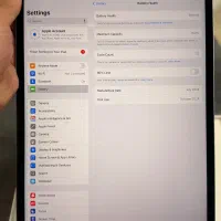 13 Ipad Air M2 256|تبلت|تهران, جردن|دیوار
