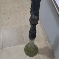 قلیون