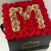 پول آرایی|گل مصنوعی|الشتر, |دیوار