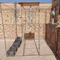 قفس کبوتر