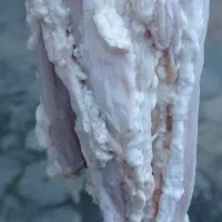 فروش  یاغلی ،گارین،درناخ