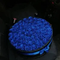 دهکده گل روبانی