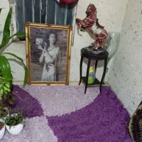 اسب پلی استر چشم نذر