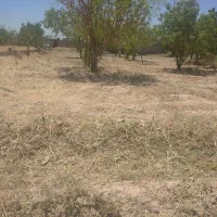 راهنمایی علف زن|فعالیت داوطلبانه|مشهد, پنجتن|دیوار