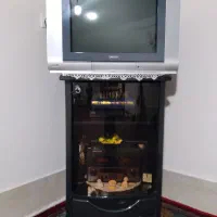 تلویزیون اسنوا