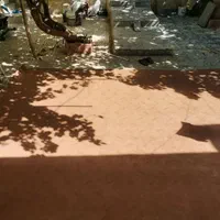 موکت 12 متری در حد نو