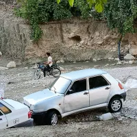 نیو پیکی کارمندی مرتب