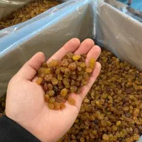 کشمش پلویی ملایر تمیز و بسته‌بندی صنعتی