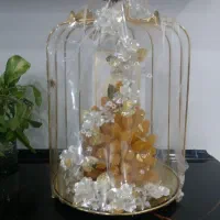 شاخه نبات داماد .مفاتیح نبات